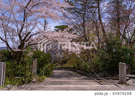 宮城県　春の白石城　厩口門側の石段 63979208