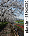 門池公園の桜 63980320