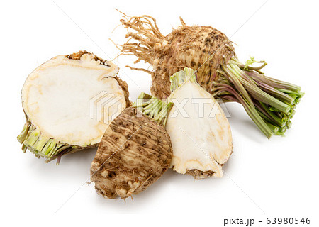 根セロリ 63980546
