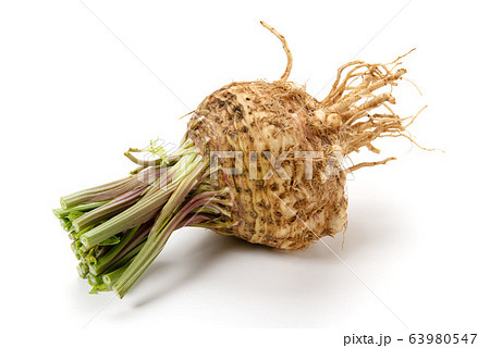 根セロリ 根セロリ 63980547