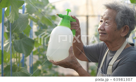 Agricultural concepts. Gardeners spray 63981307