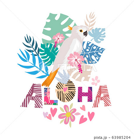 Aloha card 2 63985204