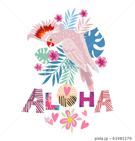 Aloha card 3 63985279