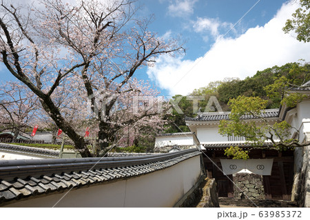 小京都龍野　満開の桜 63985372