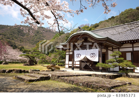 小京都龍野　満開の桜 63985373