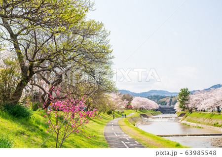 春の風景 東京都 八王子市 春の風景 東京都 八王子市 63985548