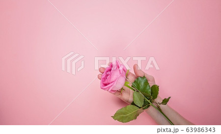 Web banner format. Children's hands are holding a rose 63986343