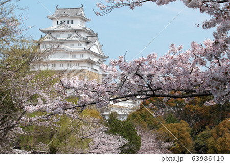 姫路城と満開の桜 姫路城と満開の桜 63986410