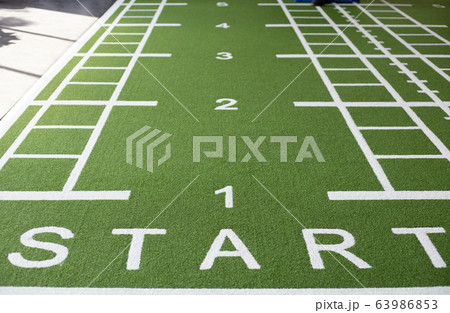 Green grass field in the gym for workout fitness Green grass field in the gym for workout fitness 63986853
