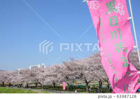 黒目川の桜 63987126