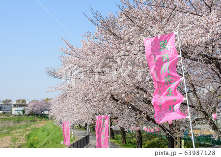 黒目川の桜 63987128