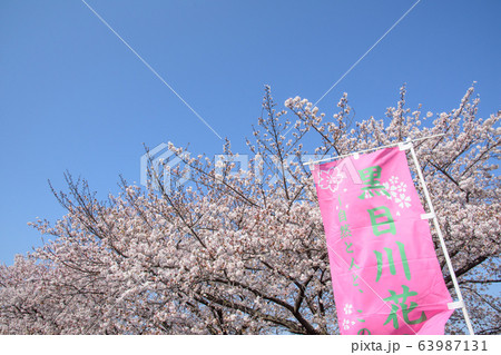 黒目川の桜 63987131