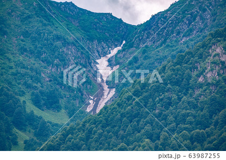 Unstained snow among the green forest on the slope of mountain 63987255