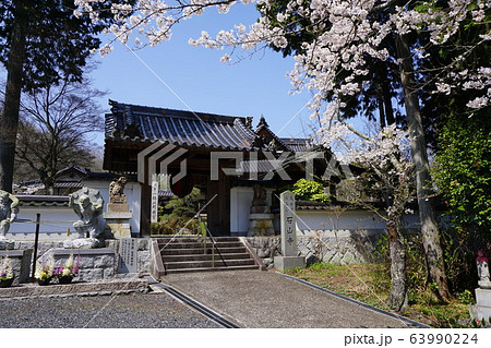 岡山県津山市にある天台宗の寺院「石山寺」：桜の咲く頃 63990224