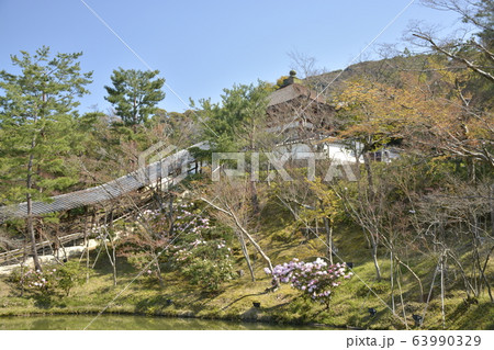 【京都府】高台寺(霊屋) 【京都府】高台寺(霊屋) 63990329