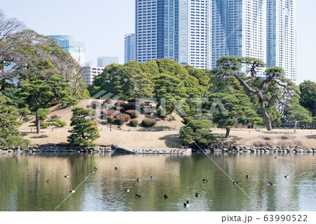 東京都 浜離宮恩賜庭園 大泉水 御亭山 東京都 浜離宮恩賜庭園 大泉水 御亭山 63990522