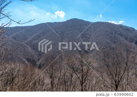 島根県 大万木山 登山道中の景色（2020年4月） 63990602