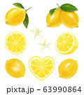 レモンの素材 63990864