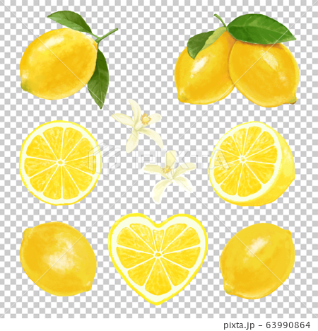 Lemon Material Stock Illustration