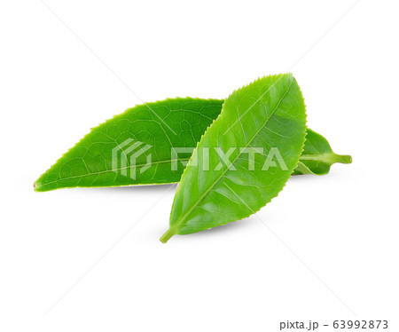 Green tea leaf on white background. Green tea leaf on white background. 63992873