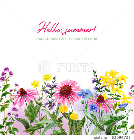 Watercolor seamless border, field and wild herbs Watercolor seamless border, field and wild herbs 63994732