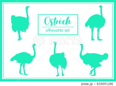 ダチョウのシルエットセット ダチョウのシルエットセット 63995186
