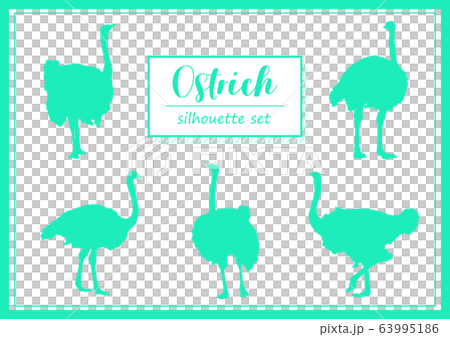 ダチョウのシルエットセット ダチョウのシルエットセット 63995186
