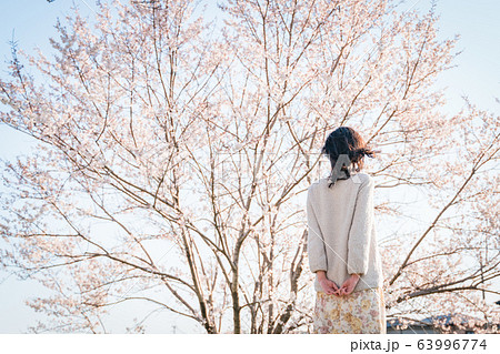 桜 女性後ろ姿の写真素材