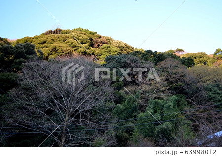 神奈川県伊勢原市・大山山麓の良弁滝付近の風景 神奈川県伊勢原市・大山山麓の良弁滝付近の風景 63998012