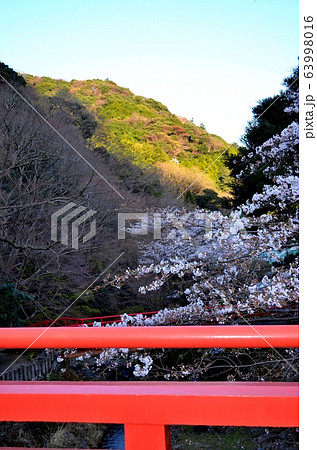 神奈川県伊勢原市・大山山麓の良弁滝付近の風景 神奈川県伊勢原市・大山山麓の良弁滝付近の風景 63998016