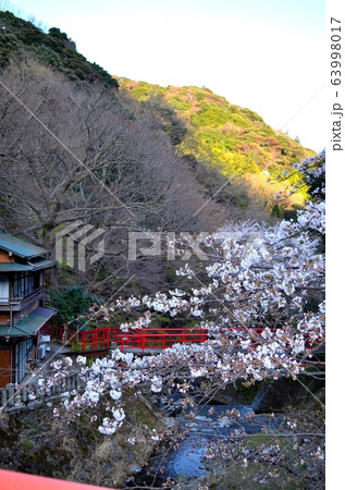 神奈川県伊勢原市・大山山麓の良弁滝付近の風景 神奈川県伊勢原市・大山山麓の良弁滝付近の風景 63998017