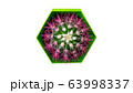 Cactus in a pot similar to a coronavirus molecule. 63998337