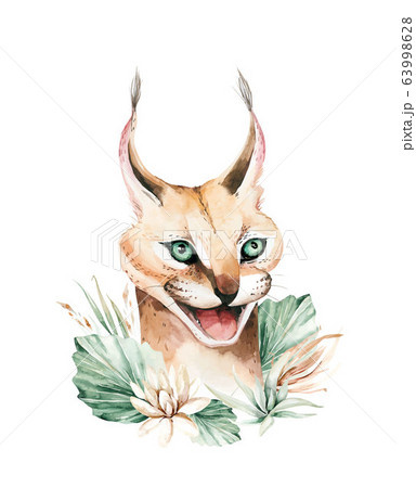 Watercolor serval wilf cat portrait thoroughbred Caracal cat. Watercolor painting african savannah animal 63998628