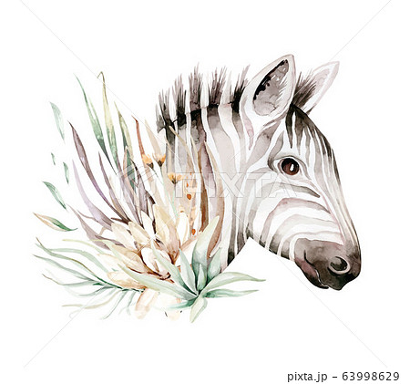 Cute zebra watercolor portrait illustration. African animals exotic nature. Savannah wildlife animal 63998629