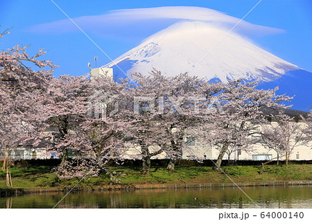 【静岡県】珍しい笠雲の富士山と満開の桜 64000140