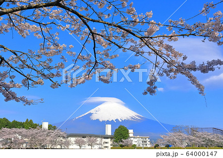 【静岡県】珍しい笠雲の富士山と満開の桜 64000147