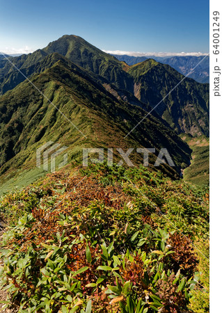初秋の越後駒ヶ岳の紅葉と中ノ岳 64001249