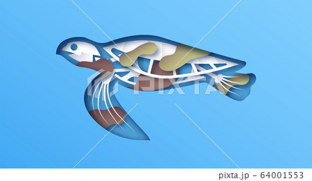 Papercut turtle skeleton toxic water pollution 64001553