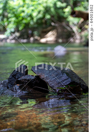 オーストラリア、清流にある岩 64001602