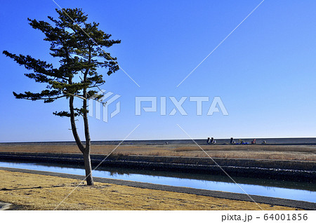 海岸公園冒険センター公園前から一本松、貞山運河、太平洋を隔てる海岸防潮堤を眺める 海岸公園冒険センター公園前から一本松、貞山運河、太平洋を隔てる海岸防潮堤を眺める 64001856