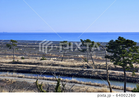海岸公園避難の丘から貞山運河越しに防潮堤と太平洋を望む 64002260