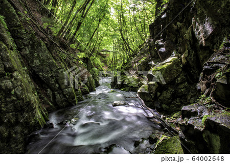 新緑の巣栗渓谷 64002648