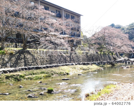 長門湯本温泉街を流れる音信川 64002776