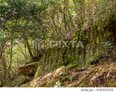 壷阪寺 大雛曼荼羅 64003058