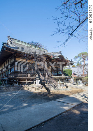勝願寺 本堂 埼玉県鴻巣市 勝願寺 本堂 埼玉県鴻巣市 64003579