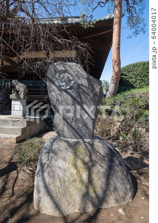 勝願寺　境内　埼玉県鴻巣市 64004017