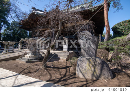 勝願寺　境内　埼玉県鴻巣市 64004019