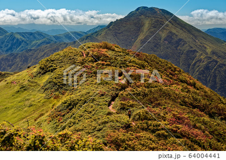 越後駒ヶ岳の紅葉と中ノ岳の眺め 64004441