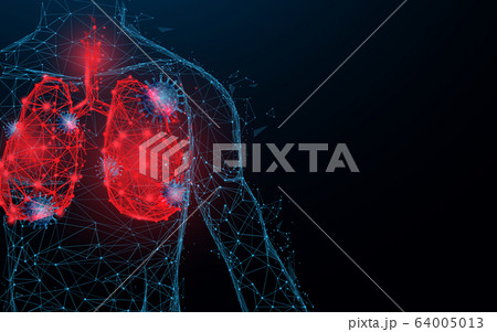 Human lungs. Respiratory virus and coronavirus outbreak and coronaviruses influenza 64005013