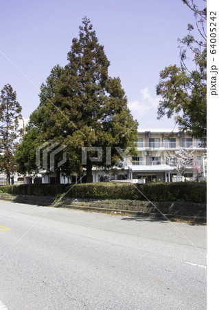 日光街道 徳次郎の六本杉 日光街道 徳次郎の六本杉 64005242